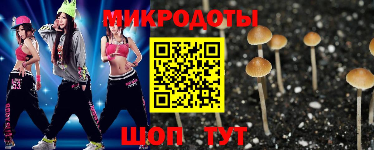 Псилоцибиновые грибы ЛСД  Галлюциногенные грибы прущие грибы  Муром  Вход с VPN 